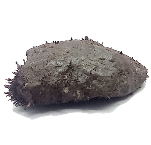 Magnetite pietra vera naturale - pietra,
