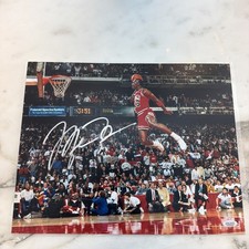 Chicago Bulls 11x14 Michael