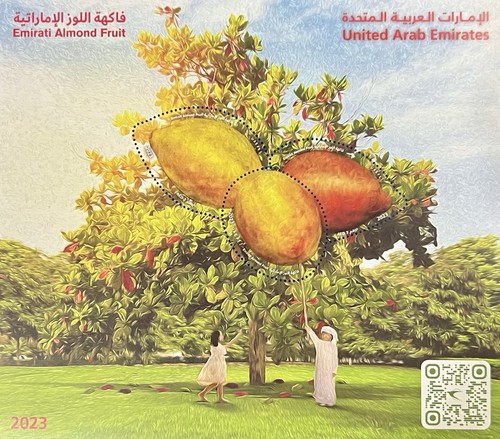 Emirati arabi uniti 2023 - emirati,