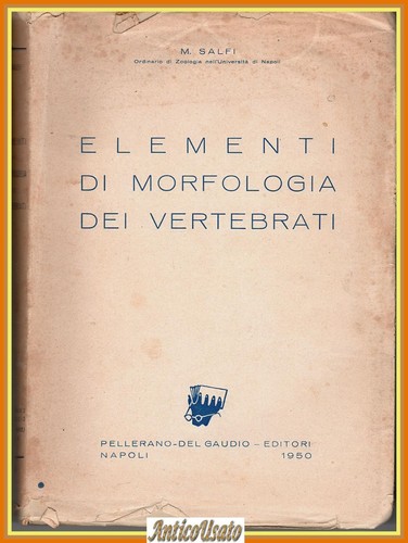 Elementi morfologia dei - di,