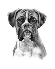 POSTER LOCANDINA ADESIVO - RITRATTO BOXER DISEGNO A MATITA DOG PITBULL BULLDOG