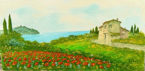Luciano torsi 40x20 olio - torsi, su