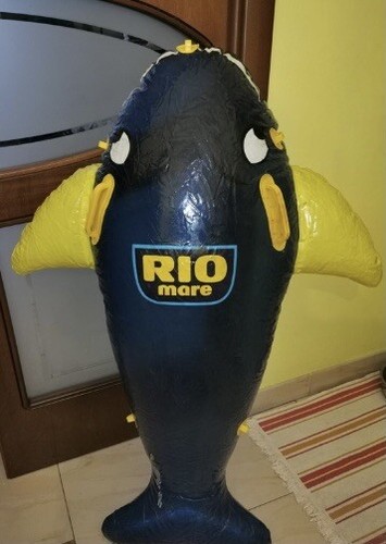 Gonfiabile pubblicitario rio - gonfiabile,