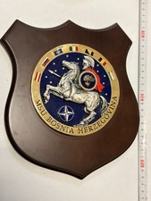 CREST MISSIONE ESTERA MSU