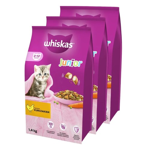 Whiskas junior cibo secco - cibo,