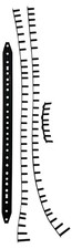 Set strisce paraurti HEAD
