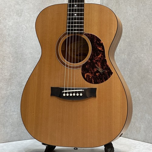 Maton trial video disponibile - video,