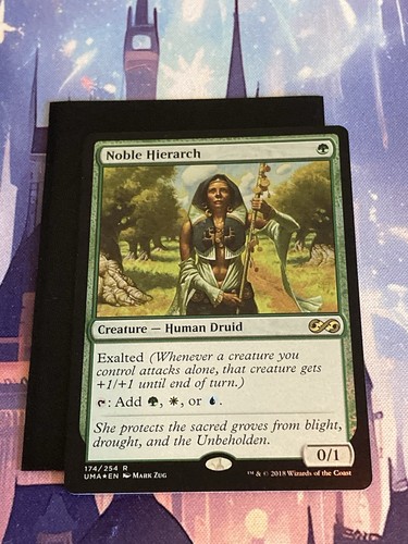 Mtg noble hierarch - hierarch, foil