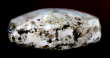 Rara antica perline Indo