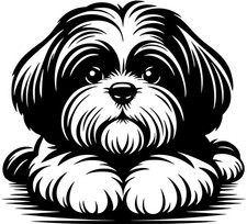 Adesivo SHIH-TZU - adesivo