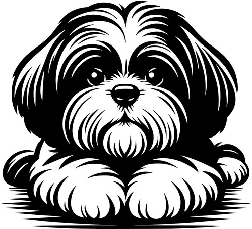 Adesivo shih tzu - adesivo,