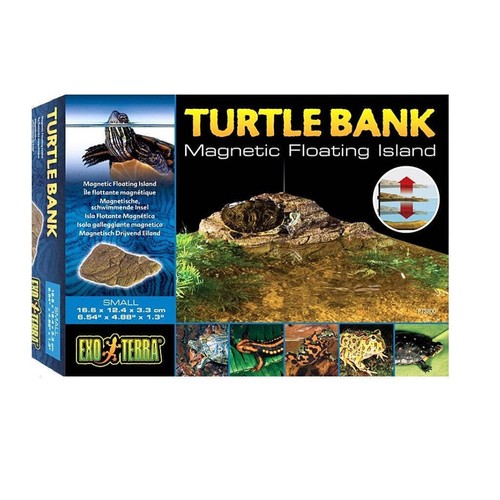Turtle bank isola con - turtle,