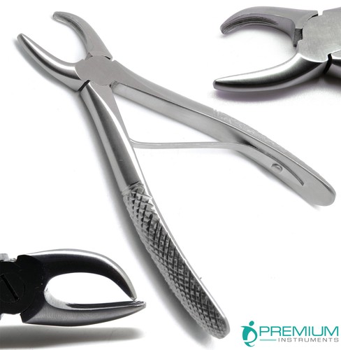 Pinza tartaro rimuovi calcolo - tartaro,