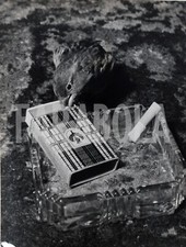 Foto vintage Regno Unito