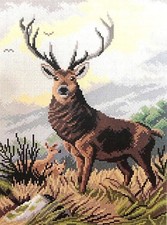 QUADRO CANOVACCIO MEZZO PUNTO