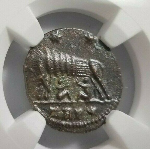 She wolf twins costantine ngc - twins,