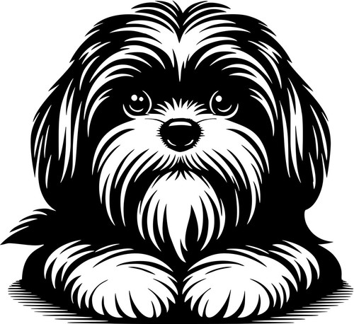 Adesivo shih tzu - shih-tzu,
