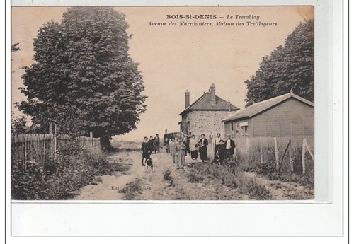 Bois saint denis le - denis, tremblay