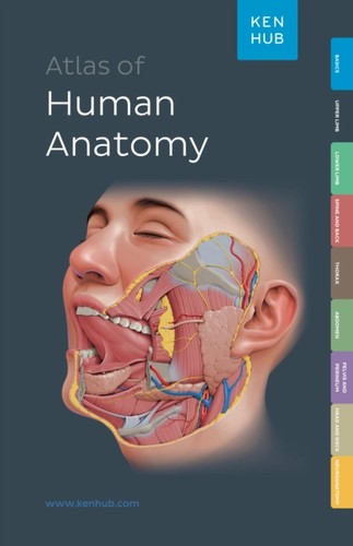 Kenhub atlas human anatomy - of,