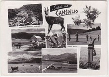 CANSIGLIO - BELLUNO - SALUTI DAL... - VEDUTINE - VIAGG. 1968 -22481-