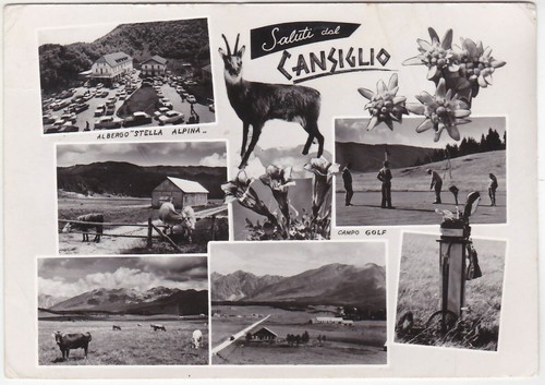 Cansiglio belluno saluti - cansiglio,