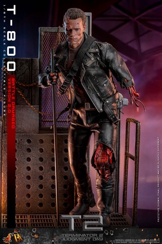 Hot toys terminator - hot, 2
