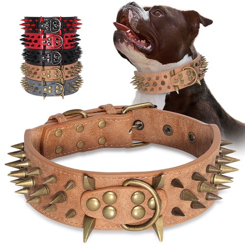 Collare per cani - collare,