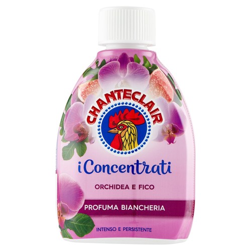 Chanteclair i concentrati - i,