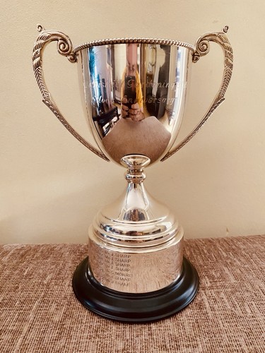 Trofeo argento - 🏆, 9,5”