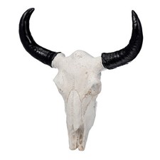  Teschio Di Toro Per La