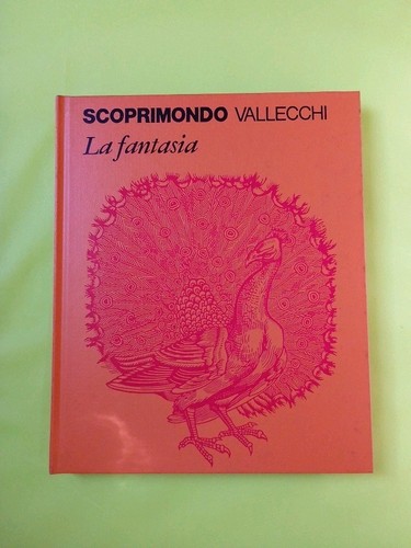 Scoprimondo vallecchi 14 - vallecchi, n.