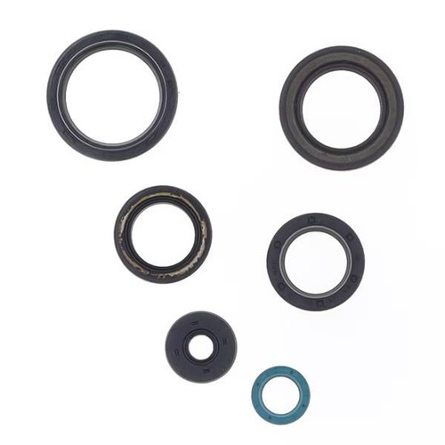 Serie paraoli motore athena - paraoli, tm