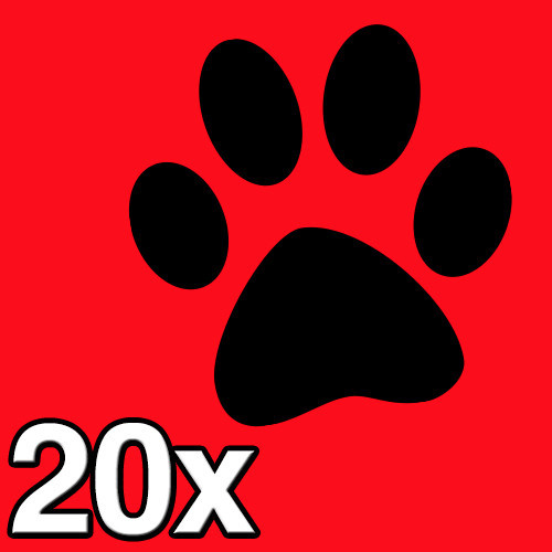 Zampe gatto adesivo - di, da