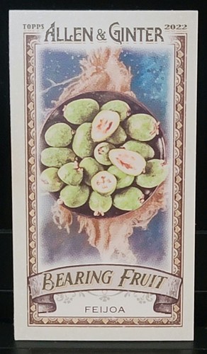 2022 topps allen ginter - ginter, mini