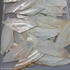 1PC Bianco Naturale Madreperla