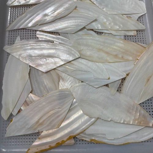 1pc bianco naturale madreperla - bianco,