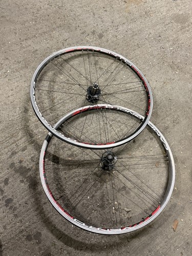 Set ruote strada campagnolo - da,
