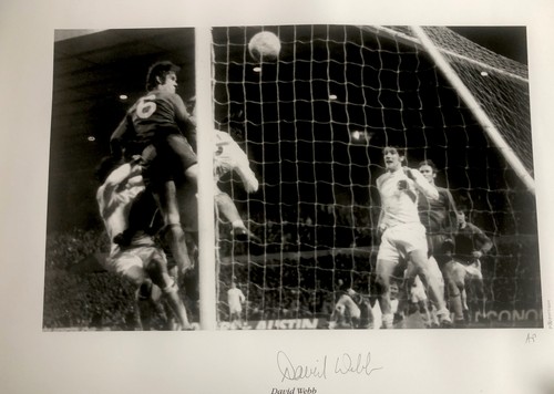 Foto chelsea david - foto, webb