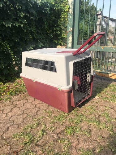 Trasportino kennel atlas - kennel, 60