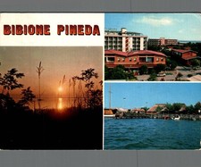 Venezia Bibione Pineda Tramonto su valle F. Grande spedita