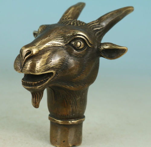 Testa ariete capra in - testa,
