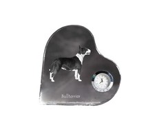 Bull Terrier Bullterrier