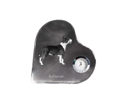 Bull terrier bullterrier - terrier,