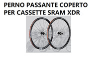 VISION ruote Team 35 DISCO DB COPERTONCINO CENTER LOCK XDR GRAY OEM
