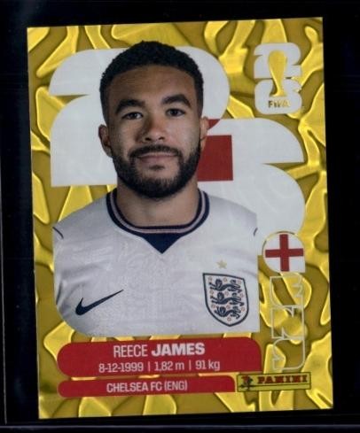 2026 panini world cup sticker - 2026,