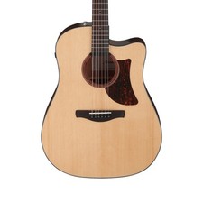 Ibanez AAD170CE-LGS Advanced