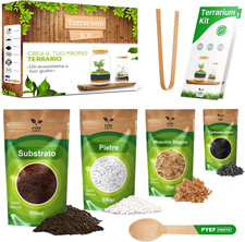 Terrarium Kit DIY Micro