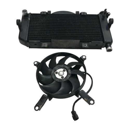 Radiatore acqua yamaha tdm - radiatore,