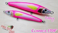 Stickbait Floating Esca Artificiale  pesca in mare Project-HandMade Lures 