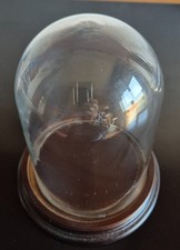 Campana in vetro completa di